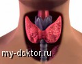        - MY-DOKTOR.RU