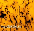     - MY-DOKTOR.RU