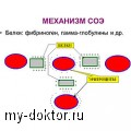   : ,     - MY-DOKTOR.RU