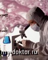      XXI ? - MY-DOKTOR.RU