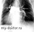    - MY-DOKTOR.RU