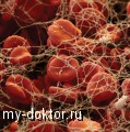   - MY-DOKTOR.RU