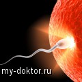   ( )  - MY-DOKTOR.RU