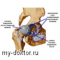     :       - MY-DOKTOR.RU