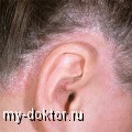      - MY-DOKTOR.RU