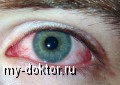   -   - MY-DOKTOR.RU